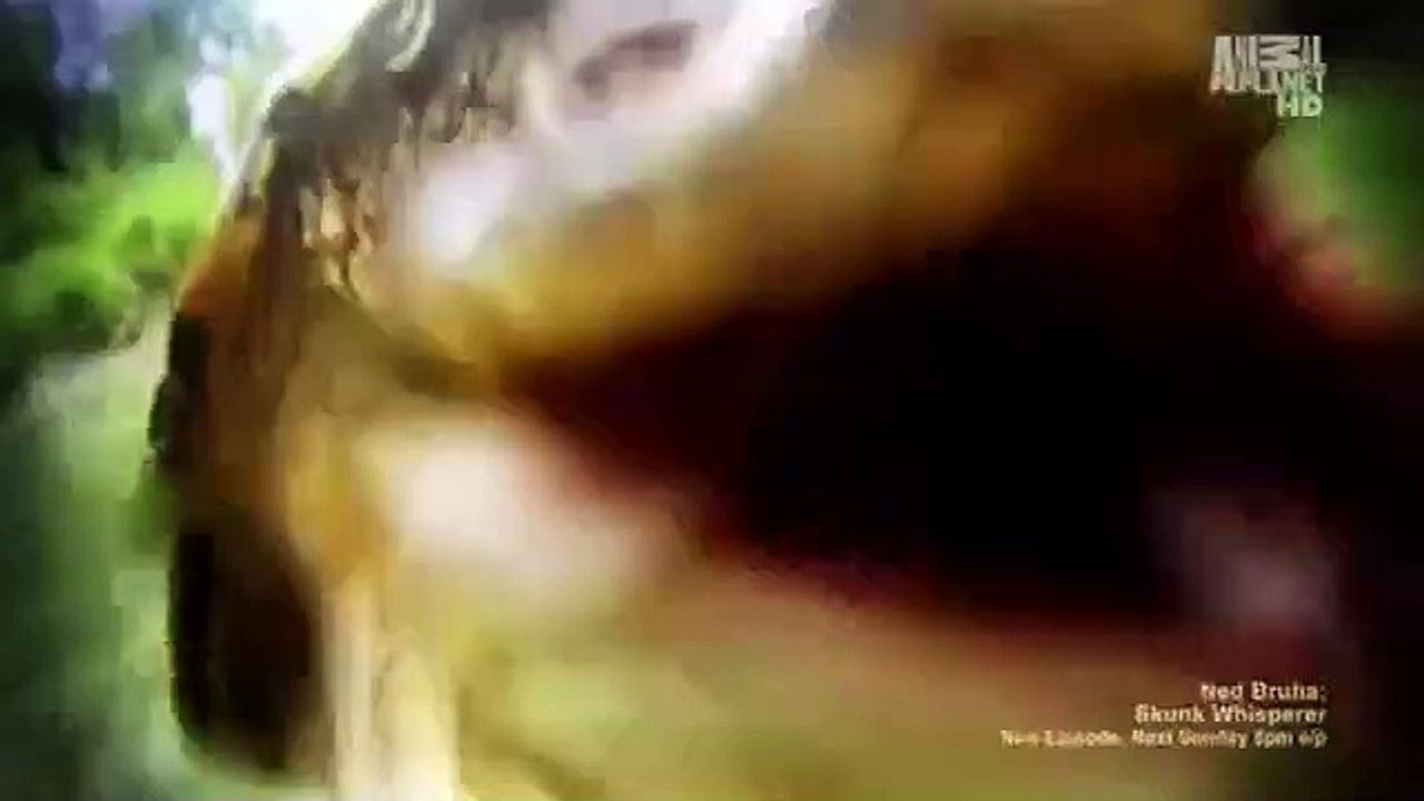 Call of the Wildman - Se1 - Ep08 HD Watch HD Deutsch