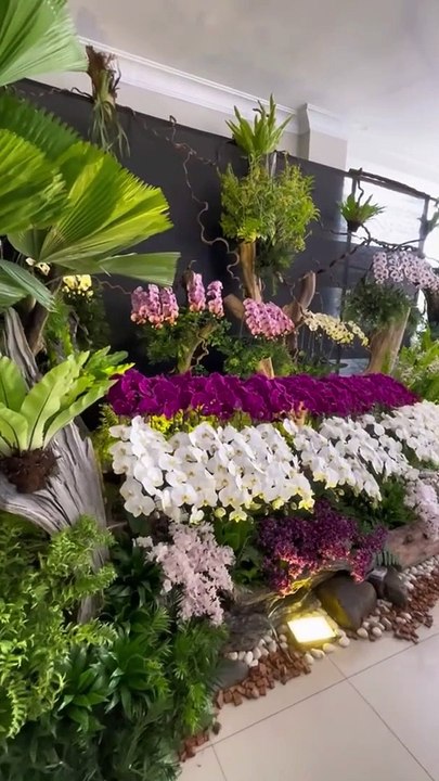 Smart ideas 2023 for growing flowers and plants Garden House
