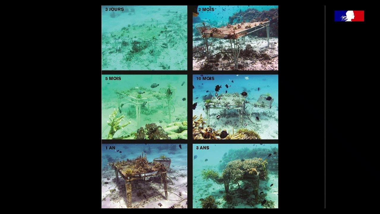 12. Le design, une affaire ménagère ? Table ronde : regards de designers sur le Salon des arts ménagers avec David Enon, designer, et ses invités