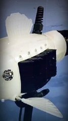 Tech News প্লাস্টিকের কণা থেকে পানি কে বিশুদ্ধ করবে গিলবার্ট রোবট মাছ Techshahin24