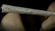 Legalisierung Cannabis