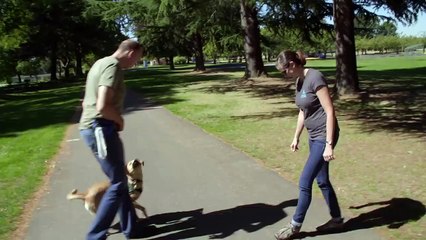 Pick of the Litter Bande-annonce (EN)