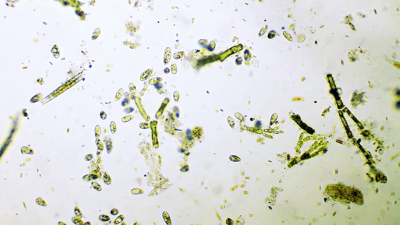 Man vs. History - Se1 - Ep04 HD Watch HD Deutsch