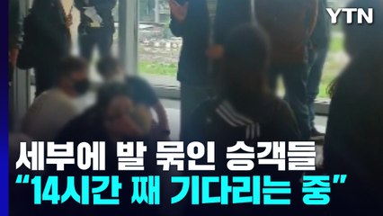 태풍에 항공기 운항 중단까지...세부공항 승객 '발 동동' / YTN