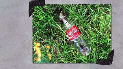 A Male Mantis Didn't Want to Die After Mating and That's What He Did