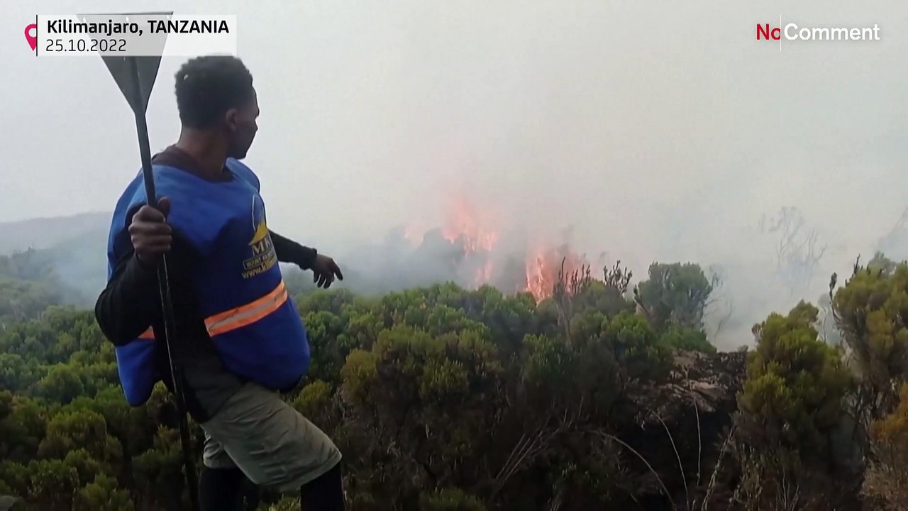 Firefighters continue battling fire on Mount Ki...