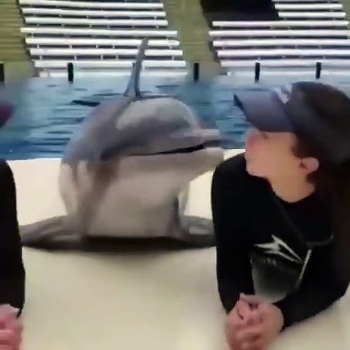 would you kiss a dolphin?! 