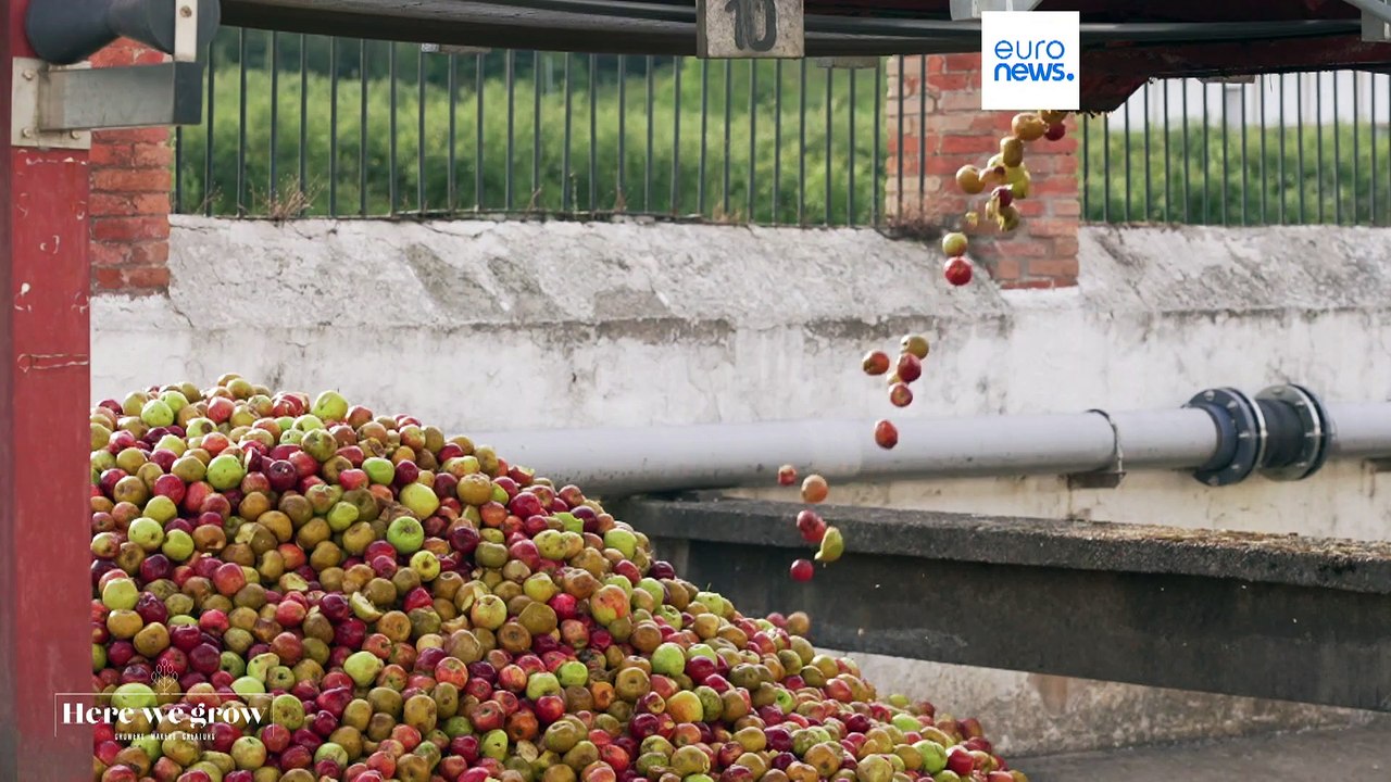 Le cidre asturien : un savoir-faire espagnol qui allie tradition et innovation