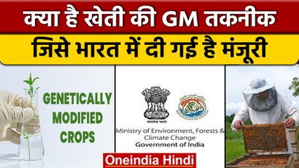 India में government ने जीएम खेती को इस crop के लिए दी मंजूरी | वनइंडिया हिंदी |*News