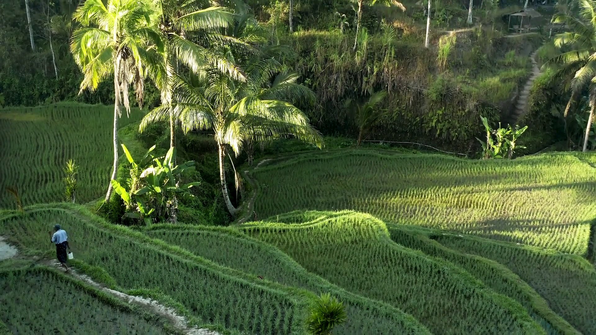 ⁣Indonesia In Video - Tropical Paradise Of Asia | Scenic Relaxation Film