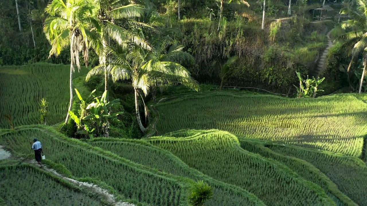 Indonesia In Video - Tropical Paradise Of Asia | Scenic Relaxation Film