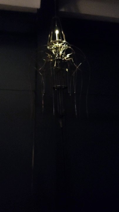 "ingénieuse curiosité" dans le Port-Musée de Douarnenez