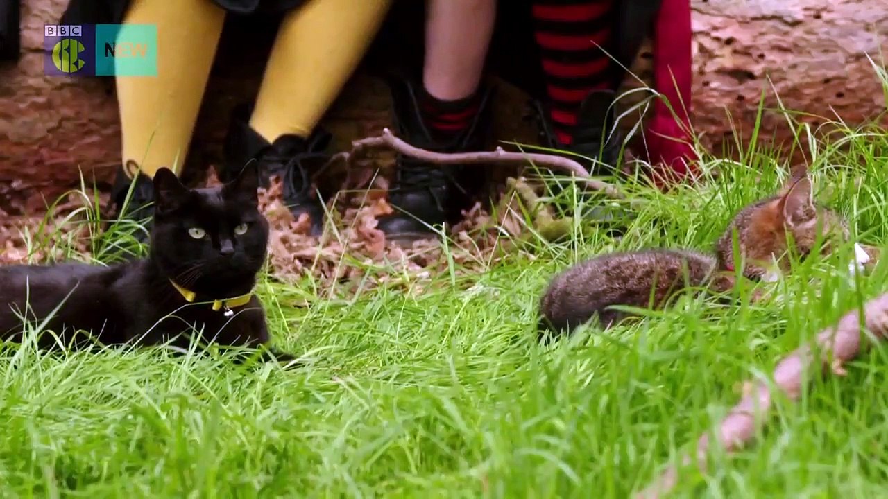 The Worst Witch - Se1 - Ep03 - Tabby HD Watch HD Deutsch