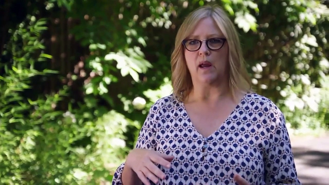 The Zoo - Se3 - Ep02 - a sea lion pup grows up HD Watch HD Deutsch