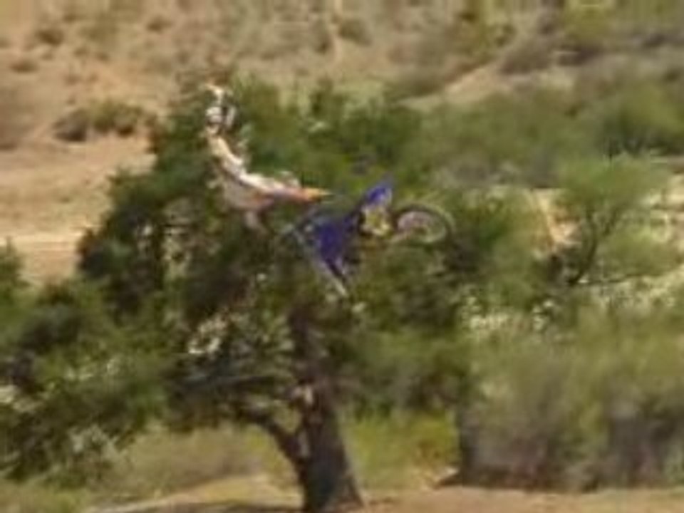 On The Pipe 4 Head to Wyvern Ranch