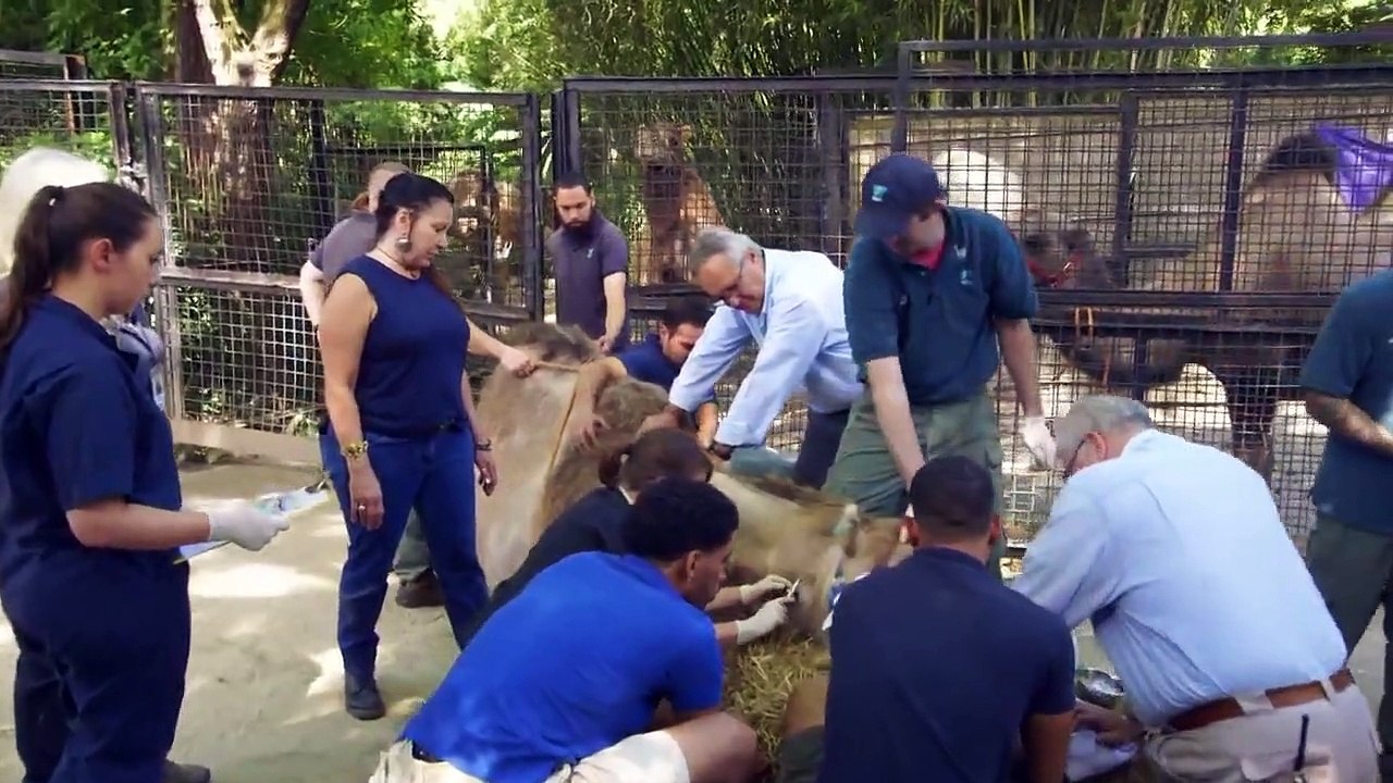 The Zoo - Se3 - Ep01 - the marvelous mott mott HD Watch HD Deutsch