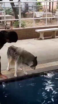 Quand tu n'aimes pas l'eau mais que tu n'as pas le choix