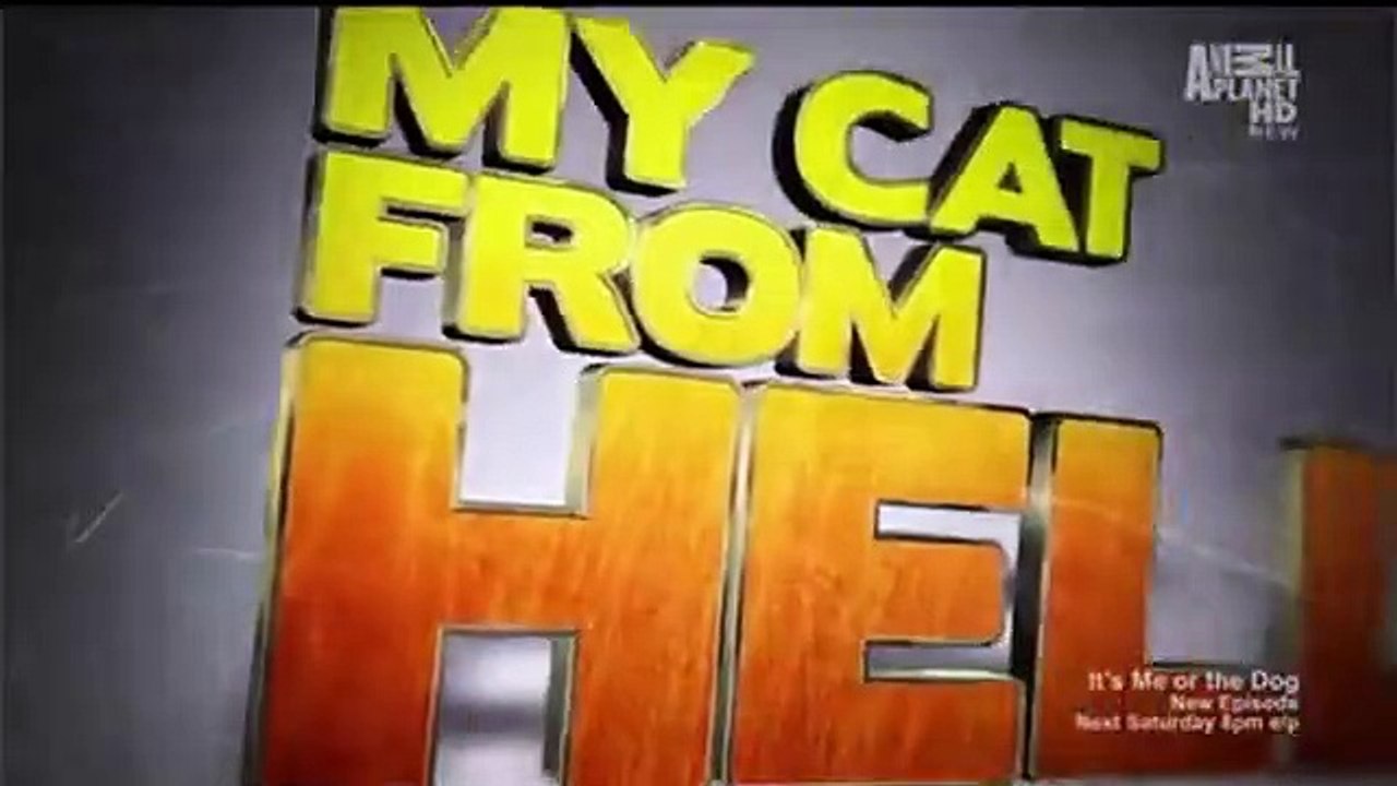 My Cat from Hell - Se1 - Ep01 - He Hates My Boyfriend HD Watch HD Deutsch