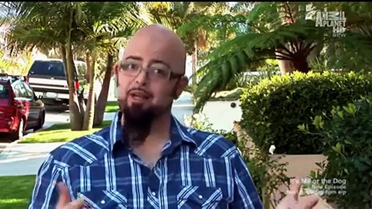 My Cat from Hell - Se1 - Ep02 - Fifi's Ruining My Love Life HD Watch HD Deutsch