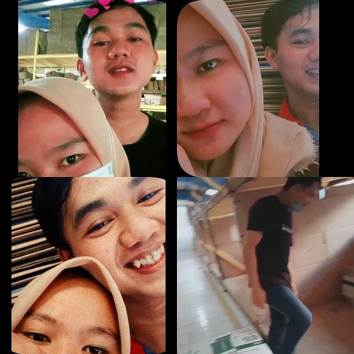 Belput