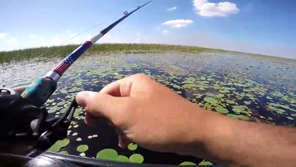 Fishing for GIANT Swamp Bass