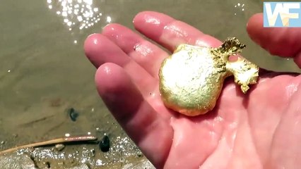 accidentally found gold in the river