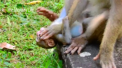 Rainbow was C-rying by mom Libby push her down!