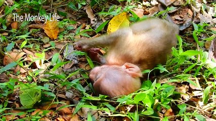 How much Libby care about daughter Rainbow