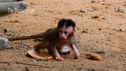 Rainbow was C-rying by mom Libby push her down!