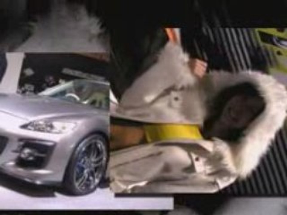 Tokyo Auto Salon 2008