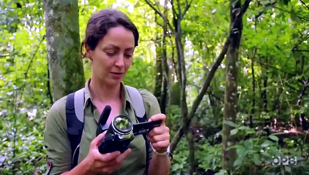 NOVA Wonders - Se1 - Ep01 - What Are Animals Saying HD Watch HD Deutsch