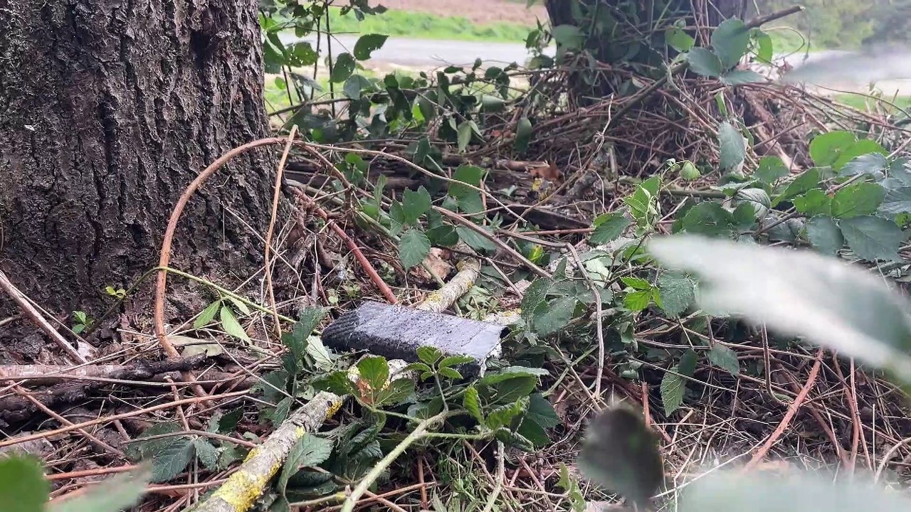 Accident mortel de rallye à Chambles