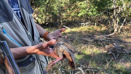 La chasse interdite le dimanche?