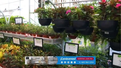 Vivalavi - 27 de octubre del 2022