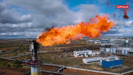 ¿Qué beneficios tiene reportar la huella de carbono corporativa?