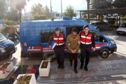 Seydikemer'deki göçmen kaçakçılığı operasyonunda 6 tutuklama