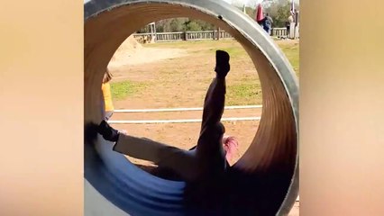 Try Not To Laugh Funny Videos - A Collection of the Funniest Fails