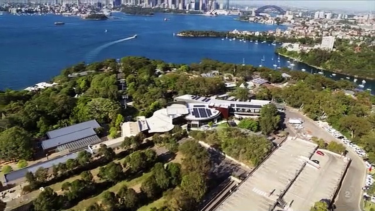 Inside Taronga zoo - Se2 - Ep01 HD Watch HD Deutsch