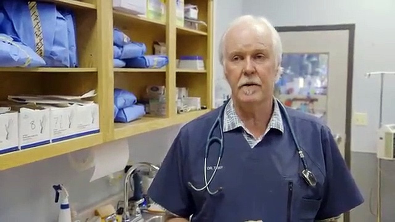 Hanging with the Hendersons - Se2 - Ep03 HD Watch HD Deutsch