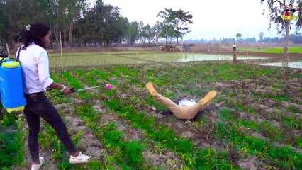 funny and full of comedy never seen anywhere   great comedy video