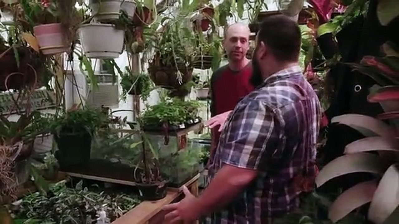 Scaled - Se1 - Ep01 - Poison Dart Frog Family HD Watch HD Deutsch