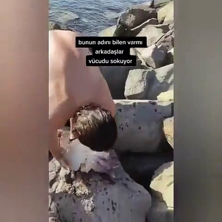 Deniz anasını ahtapot sanınca başına gelmeyen kalmadı