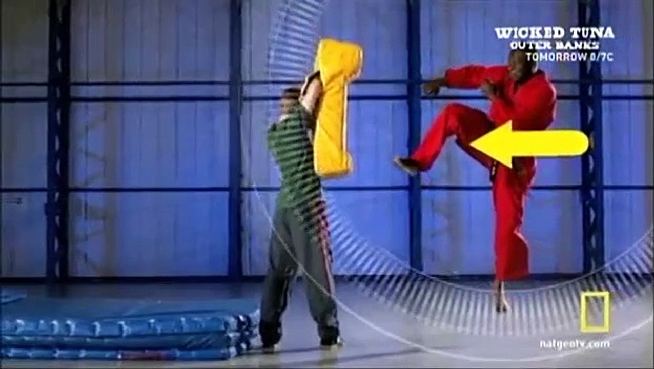 Science of Stupid - Se2 - Ep10 HD Watch HD Deutsch