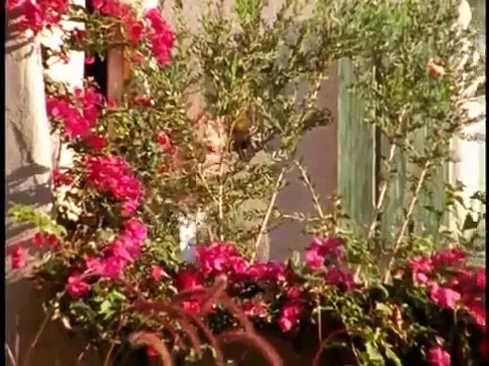 She Spies - Se1 - Ep06 HD Watch HD Deutsch