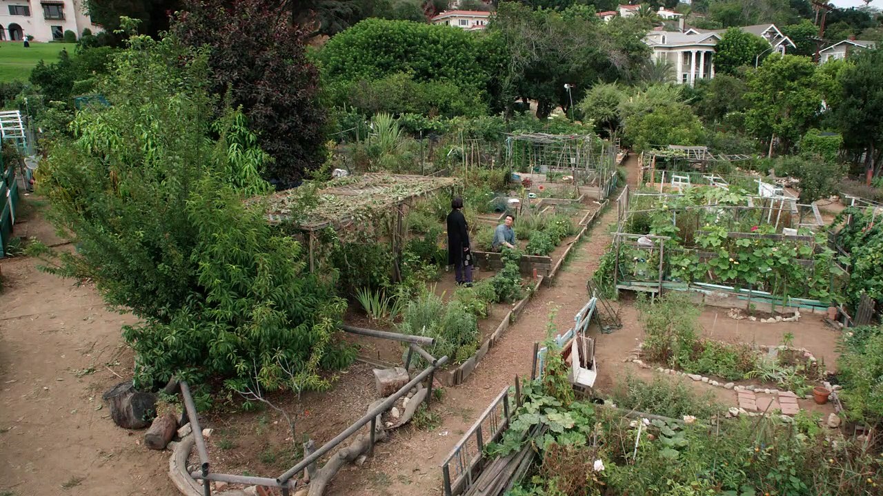 Shut Eye - Se2 - Ep03 - Guys and Dolls HD Watch HD Deutsch