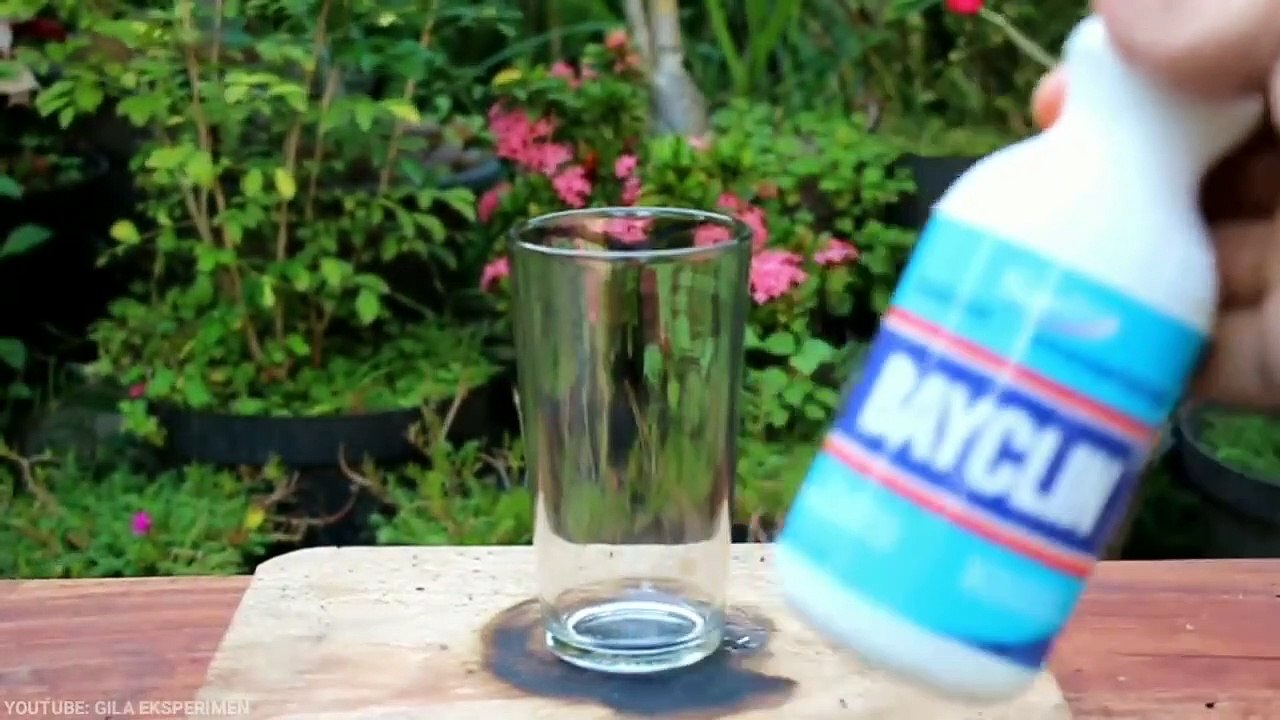 WOW!! Eksperimen CAT vs BOLA BESI PANAS..