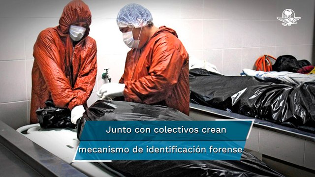 Crisis forense en México: hay 52 mil cuerpos sin identificar, reconoce Gobernación