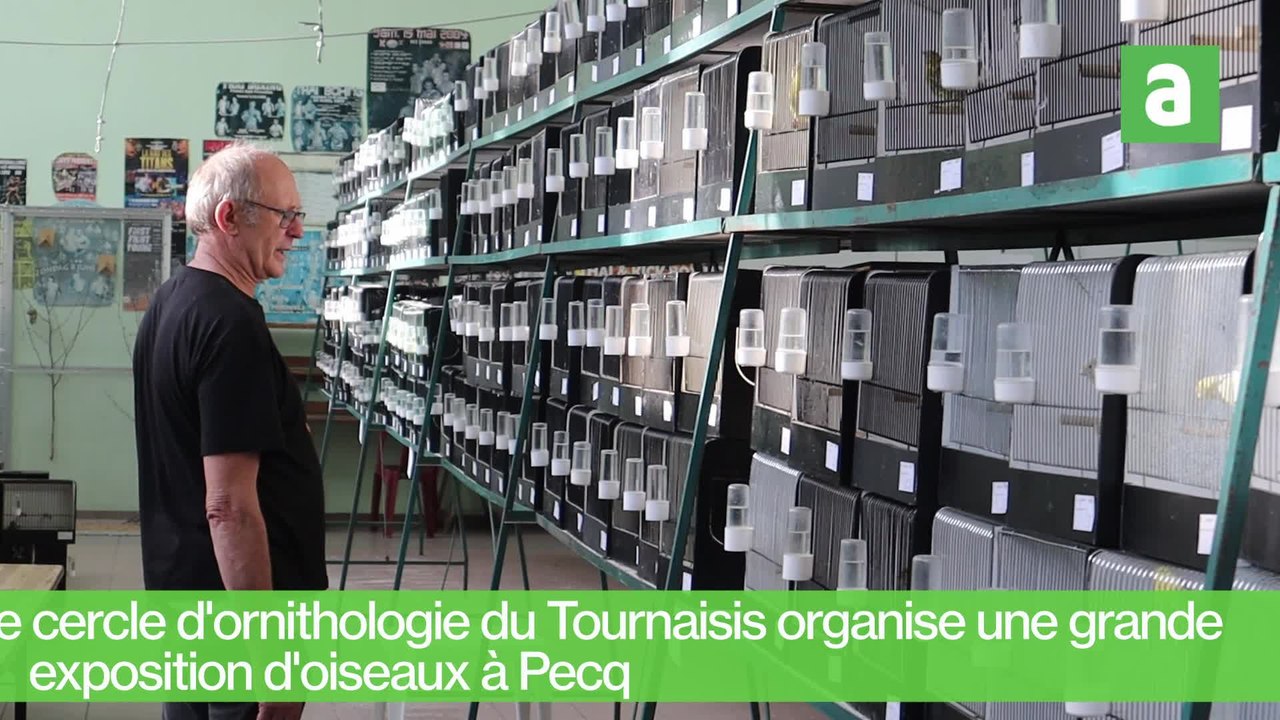 Grande exposition d'oiseaux à Pecq