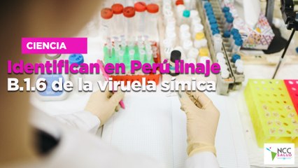 Identifican en Perú linaje B.1.6 de la viruela símica