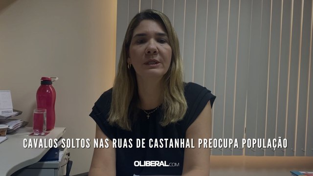 Cavalos soltos nas ruas de Castanhal preocupa população